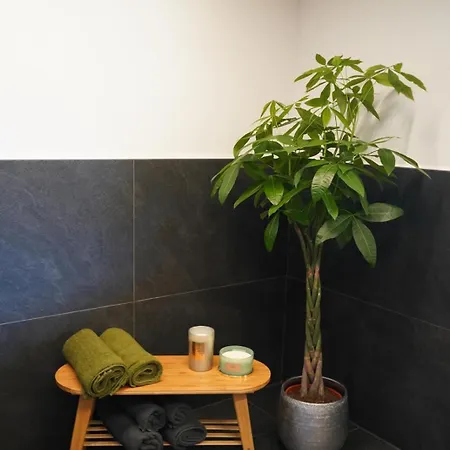 Schmiedbauerhof 维京
